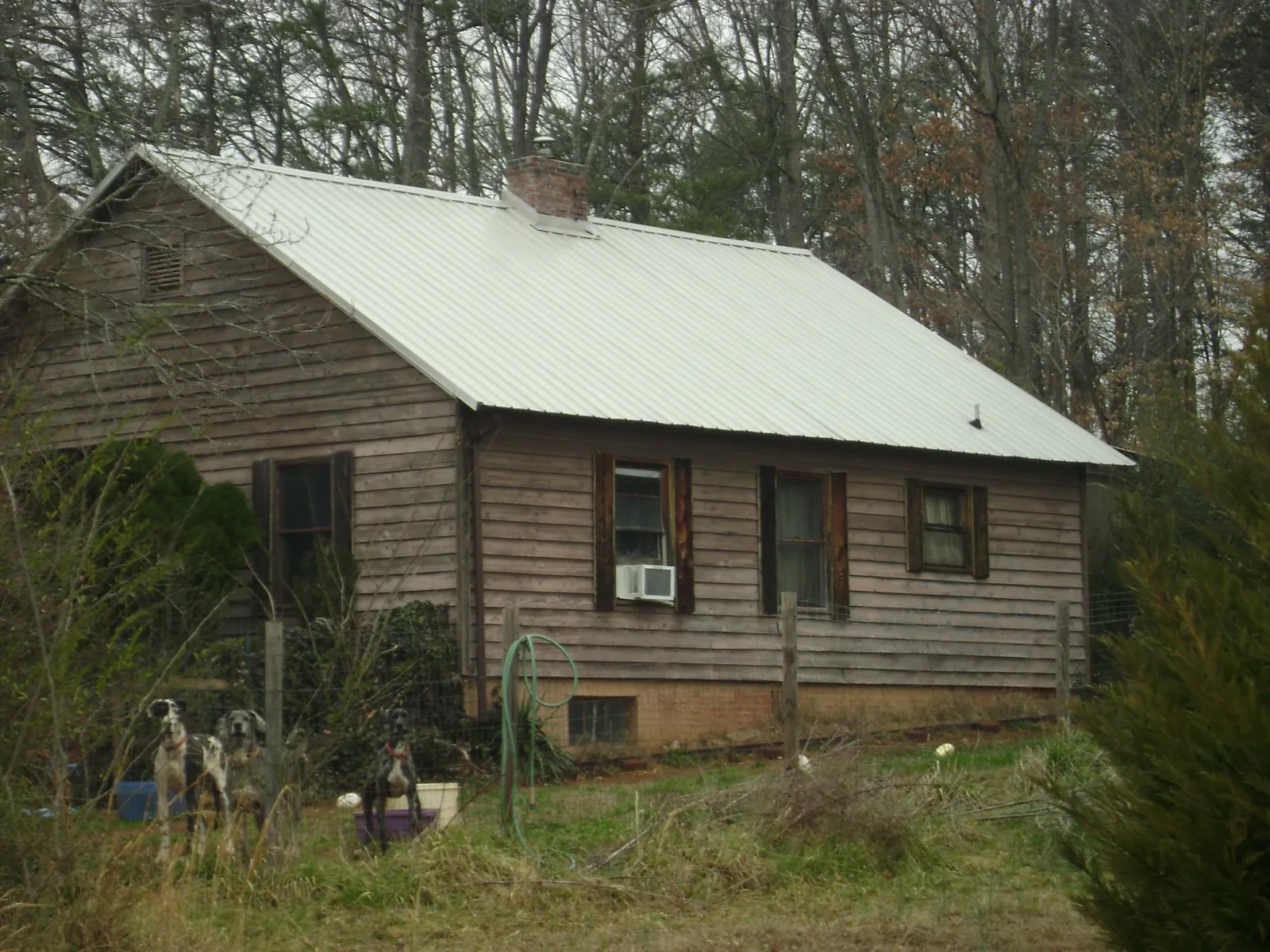 White metal roof on an old wood sided farmhouse, from a Asphalt Shingle Roof Repair job in Oak View